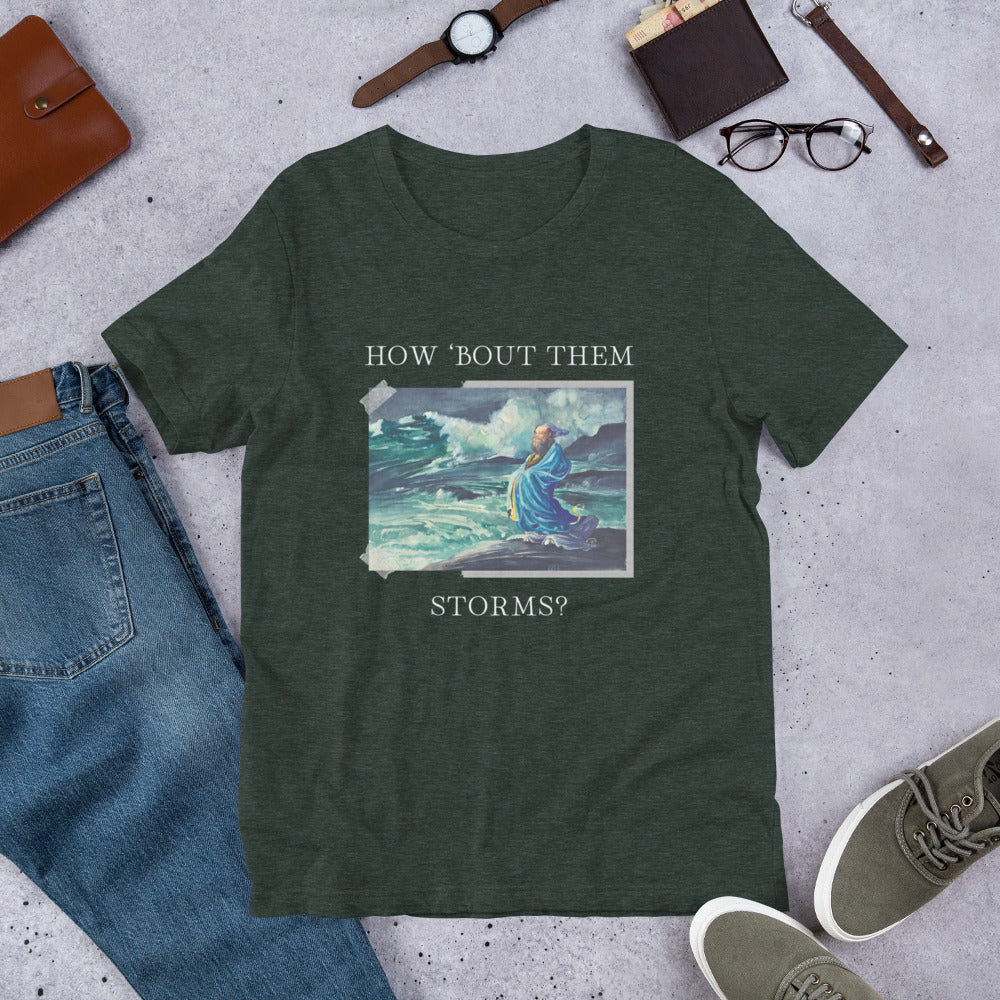 How Bout Them Storms? t-shirt